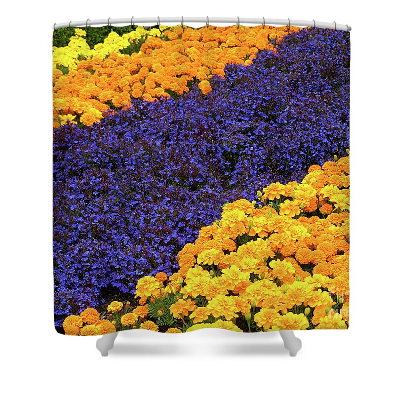 Gold Shower Curtain featuring the photograph Floral Carpet by Jacklyn Duryea Fraizer