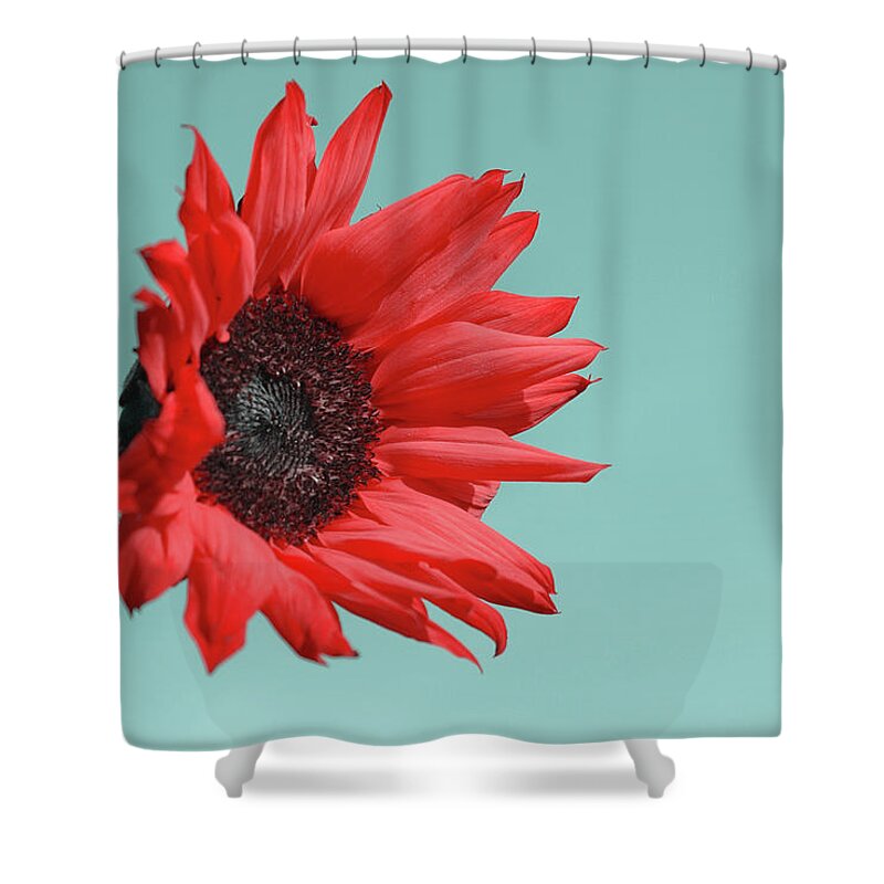 Red Floral Shower Curtains