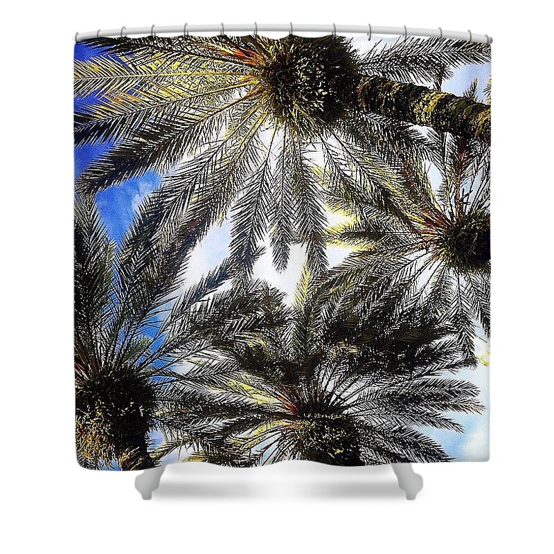 Palms Shower Curtain featuring the photograph Palms by Kate Arsenault 