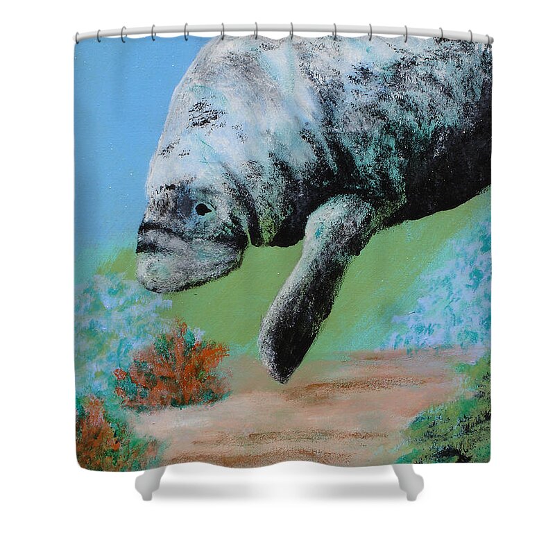 Florida Shower Curtain featuring the painting Florida Manatee by Susan Kubes