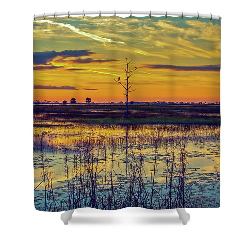 Bird Shower Curtain featuring the photograph Florida Nature Paradise by DB Hayes