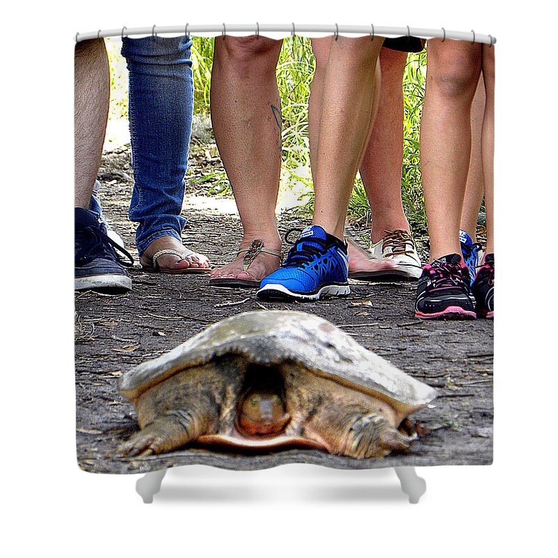 Turtle Shower Curtain featuring the photograph Florida Softshell Turtle 003 by Christopher Mercer