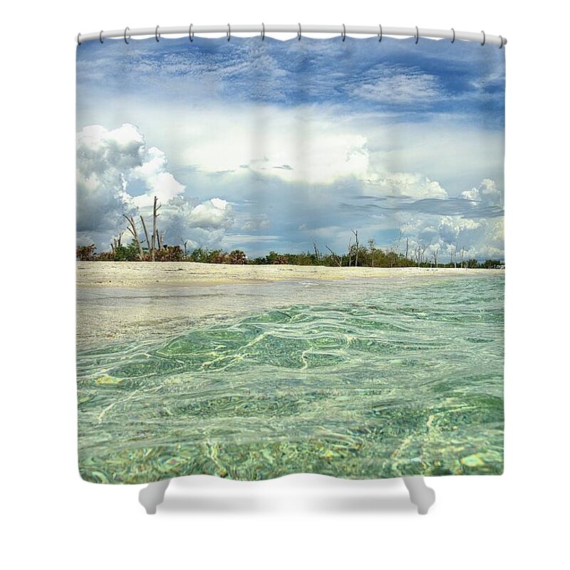 State Park Shower Curtain featuring the photograph Florida State Park by Alison Belsan Horton