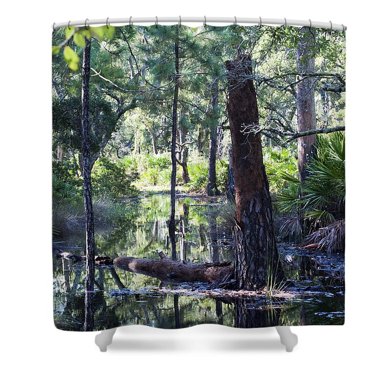 Nature Shower Curtain featuring the photograph Florida Swamp by Kenneth Albin