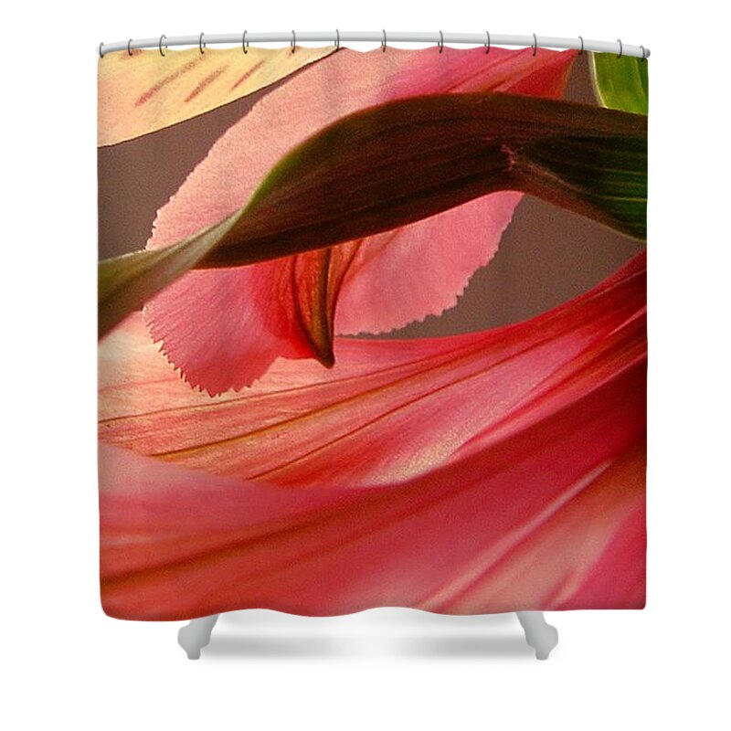 Flower Shower Curtain featuring the photograph Flow by Kae Cheatham