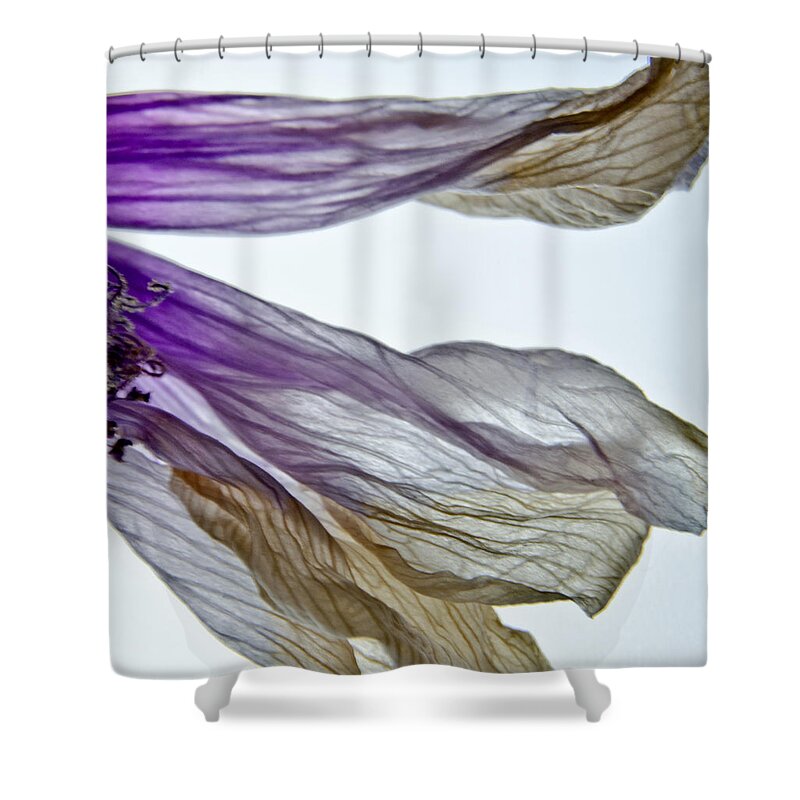 Floral Shower Curtain featuring the photograph Flow Like a Flower by Jean Booth