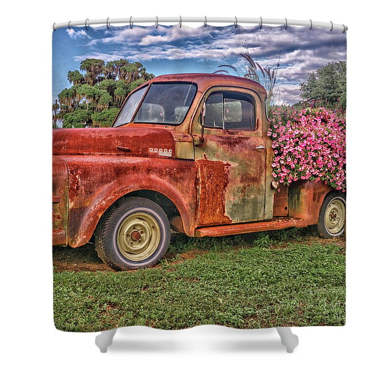 Dodge Shower Curtain featuring the photograph Dodge Flower Bed by Dennis Dugan