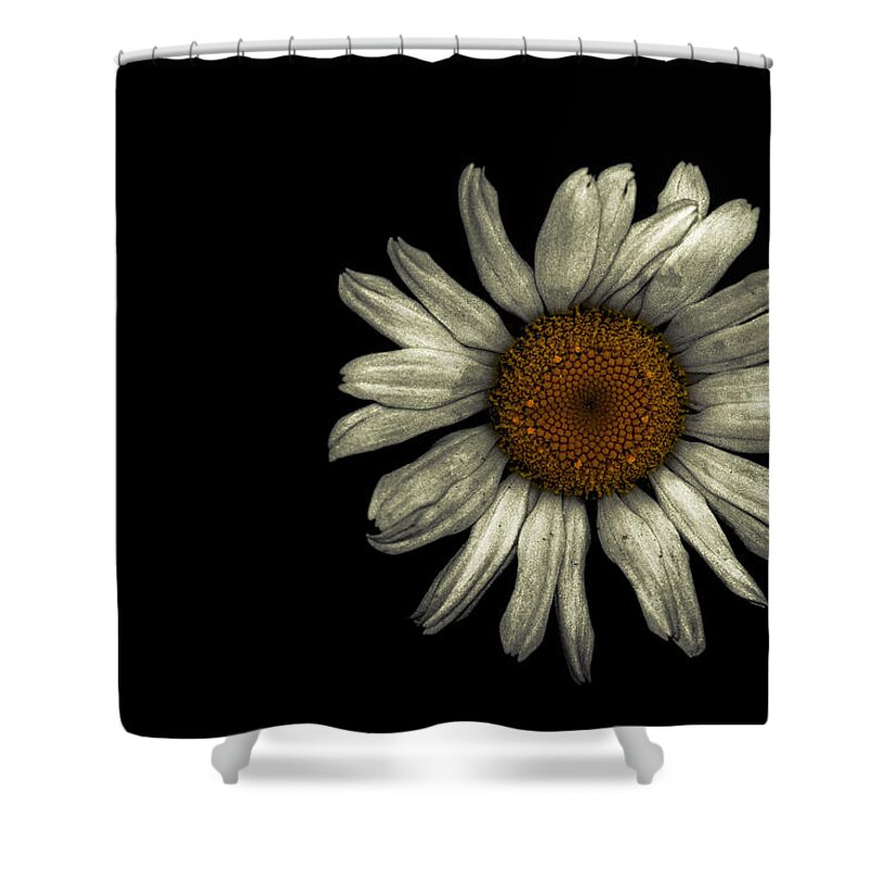 Flower Shower Curtain featuring the photograph Flower Black by Goutham Ganesh