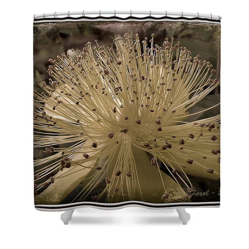 Flower Shower Curtain featuring the photograph Adventure in Grey by Farol Tomson