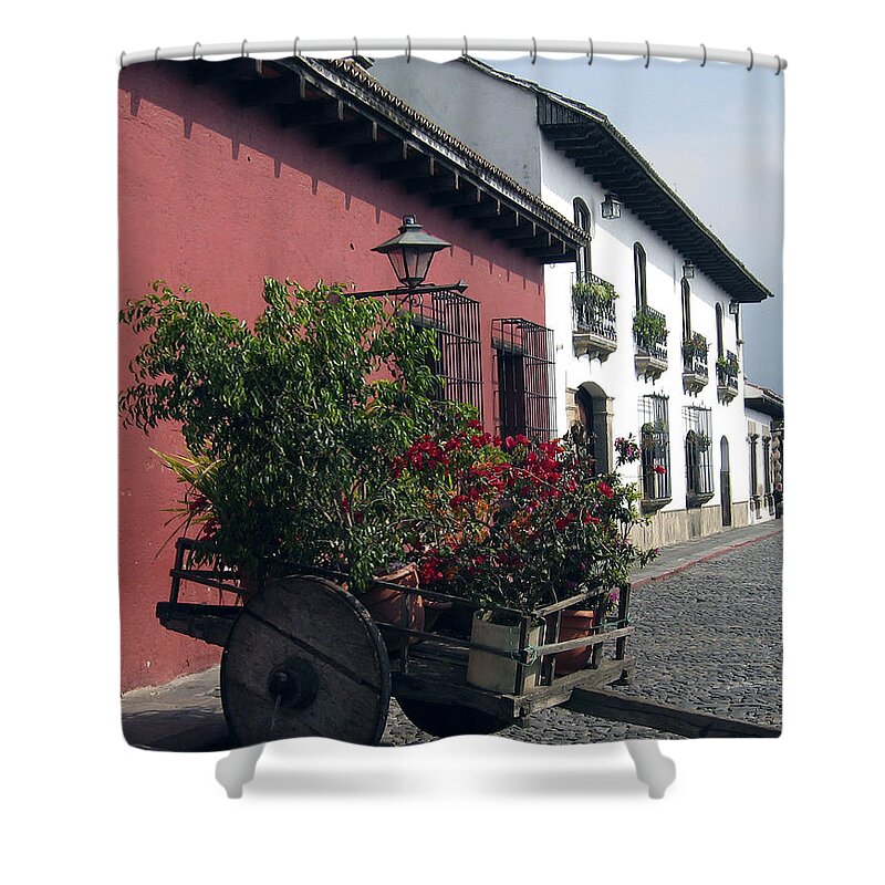Antigua Shower Curtain featuring the photograph Flower Cart Old Antigua by Kurt Van Wagner