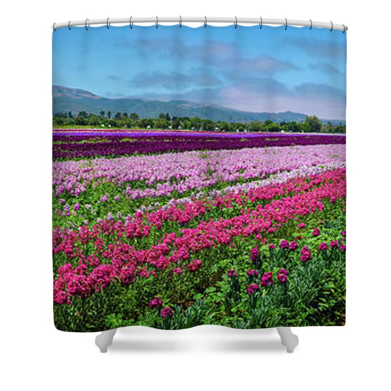 Red Barns Shower Curtain featuring the photograph Flower Farm Heaven Panorama by Lynn Bauer