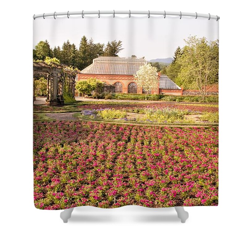 Flowers Shower Curtain featuring the photograph Flower Garden by Allen Nice-Webb