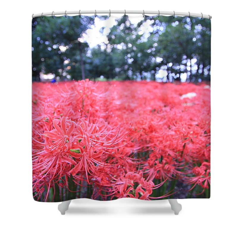 Flower Nature Natural Beautiful Red Japan Shower Curtain featuring the photograph Flower by Hiroko Osawa