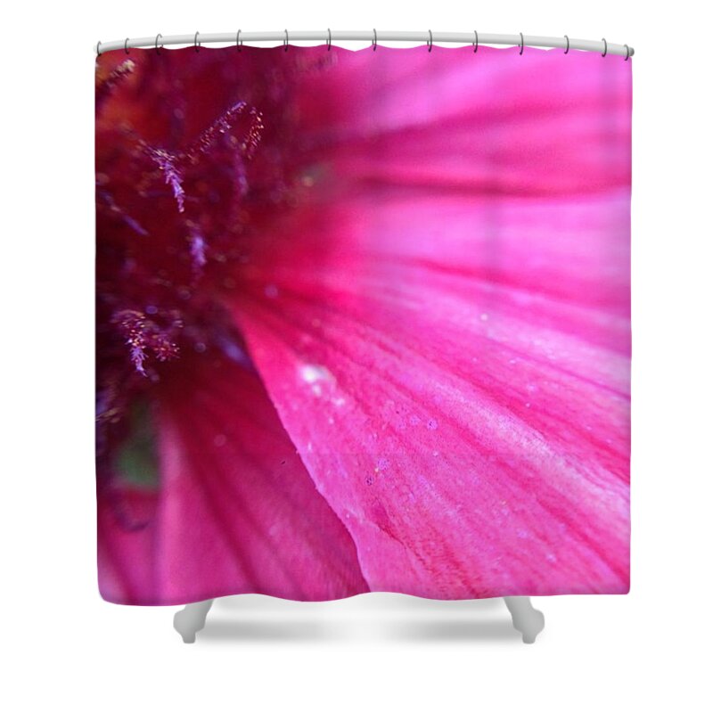 Pink Shower Curtain featuring the photograph Pink Flower Macro by Heather Classen