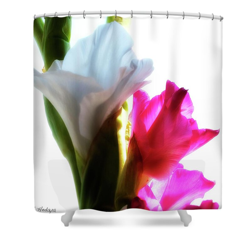 Flower Shower Curtain featuring the photograph Flower Power 7 by Joseph Hedaya