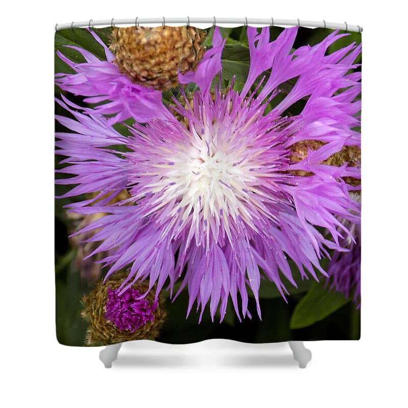 Flowers Shower Curtain featuring the photograph Flower Snowflake by William Tasker