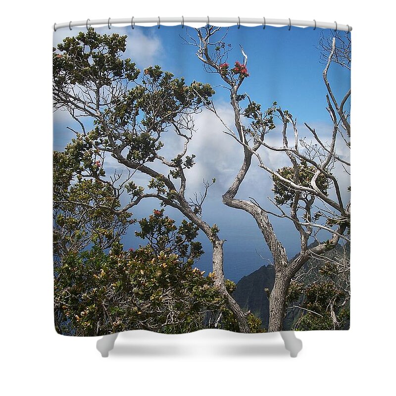 Tree Shower Curtain featuring the photograph Flowering Branches by Michelle Miron-Rebbe