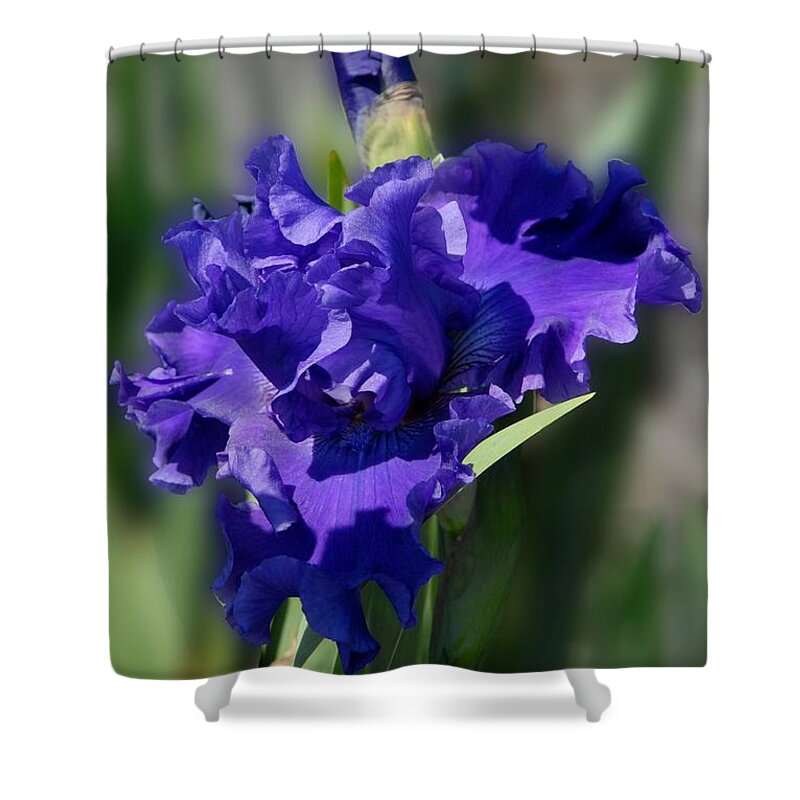 Iris Iris Shower Curtain featuring the photograph Flowers 734 by Joyce StJames