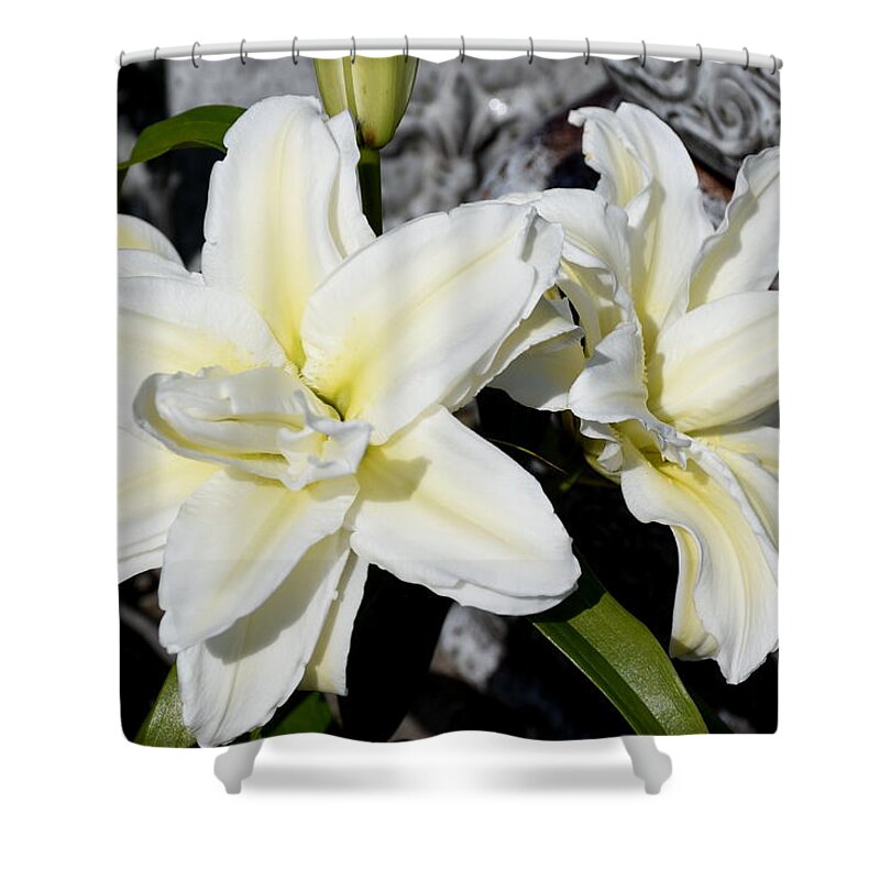 Oriental Lily Shower Curtain featuring the photograph Flowers 794 by Joyce StJames