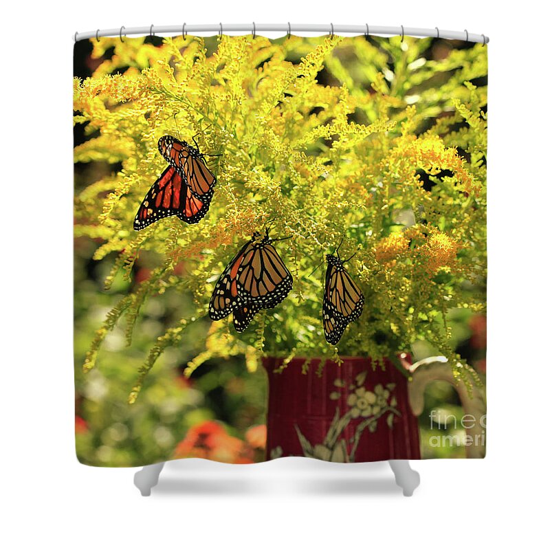 Goldenrod Flowers Photo Shower Curtain featuring the photograph Flowers and Butterfies in Red Vase Photo by Luana K Perez