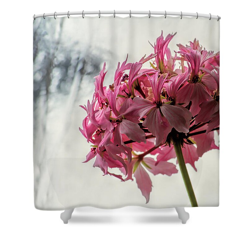 Flower Shower Curtain featuring the photograph Flowers and Ice by Alana Thrower