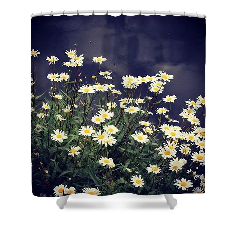 Cute Shower Curtain featuring the photograph Flowers By The Lake At Eastpark Hull by Richard Atkin