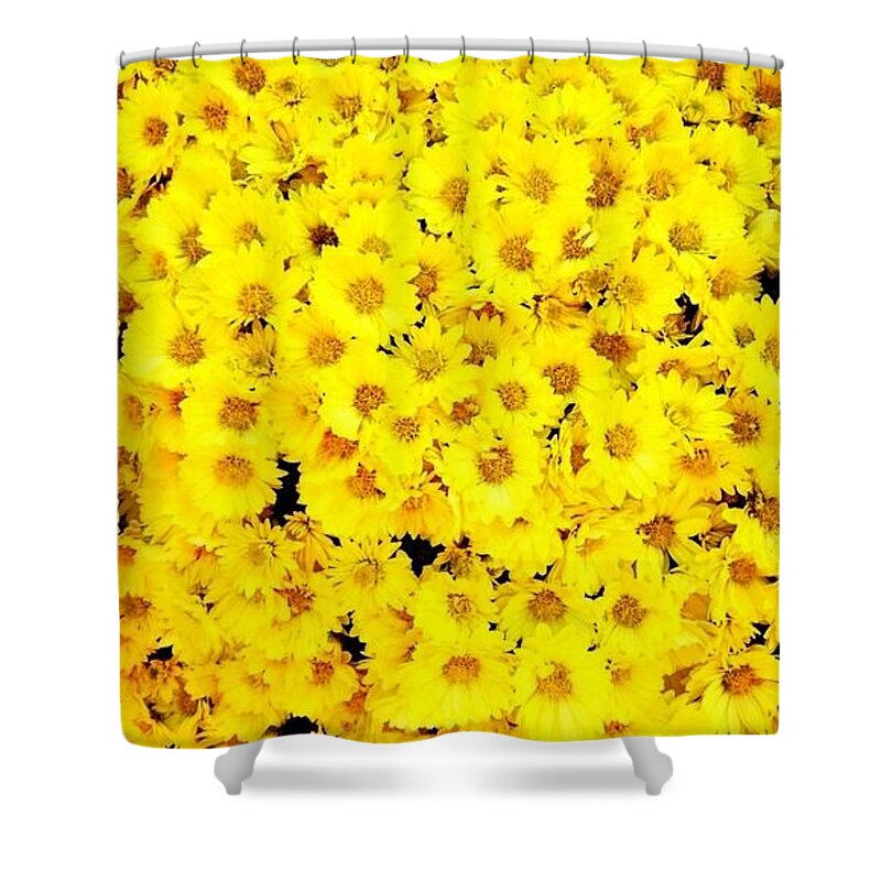 Shoes Shower Curtain featuring the photograph Flowers by Delayla Monnee