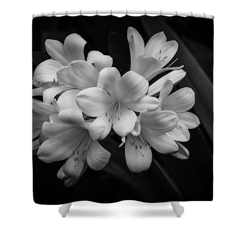 Flowers Shower Curtain featuring the photograph Flowers In Light by Ray Congrove