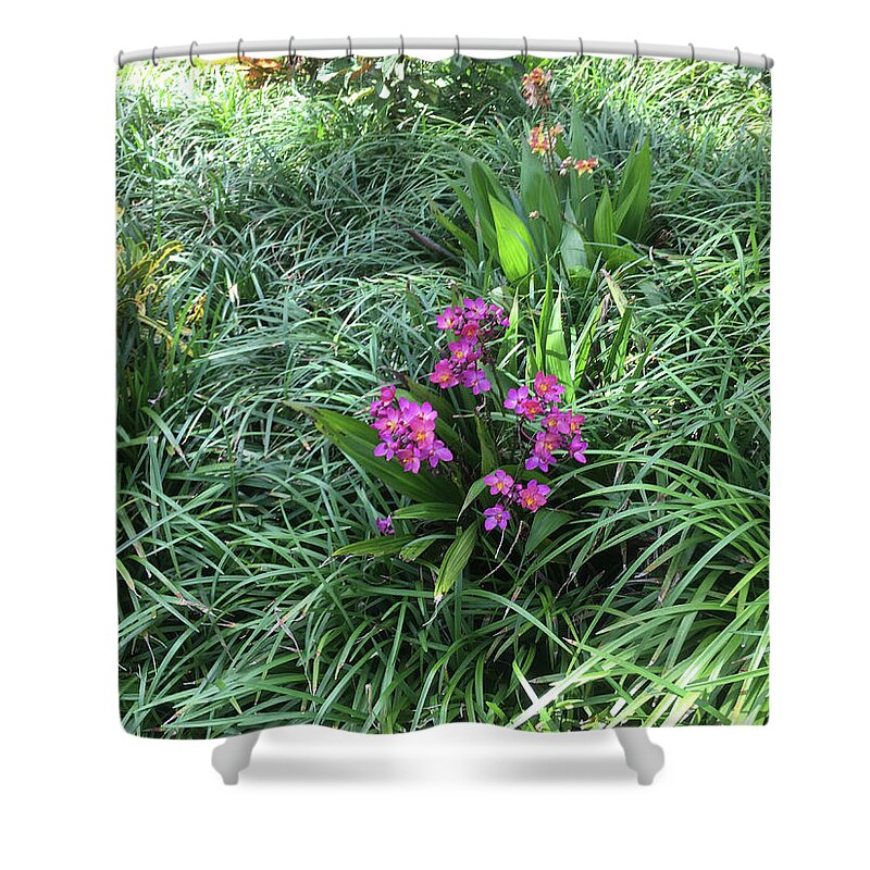 Flowers Shower Curtain featuring the photograph Flowers in Paradise #3 by Susan Grunin