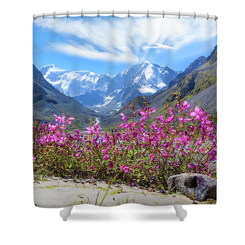 Russian Artists New Wave Shower Curtain featuring the photograph Flowers of the Mountains, Altai by Victor Kovchin