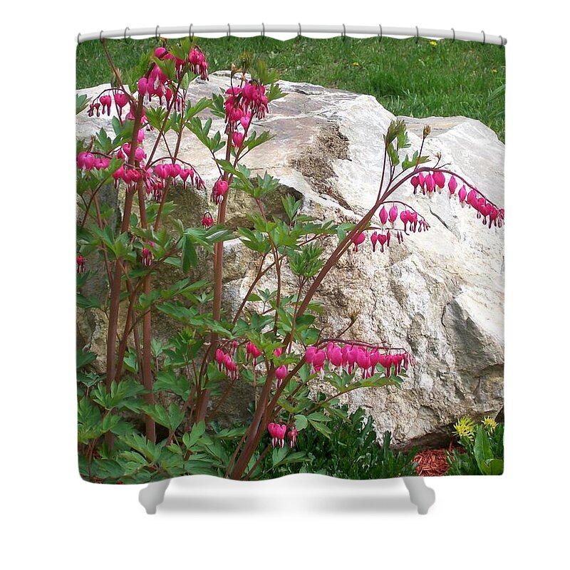 Photography Shower Curtain featuring the digital art Flowers on the Rocks by Barbara S Nickerson