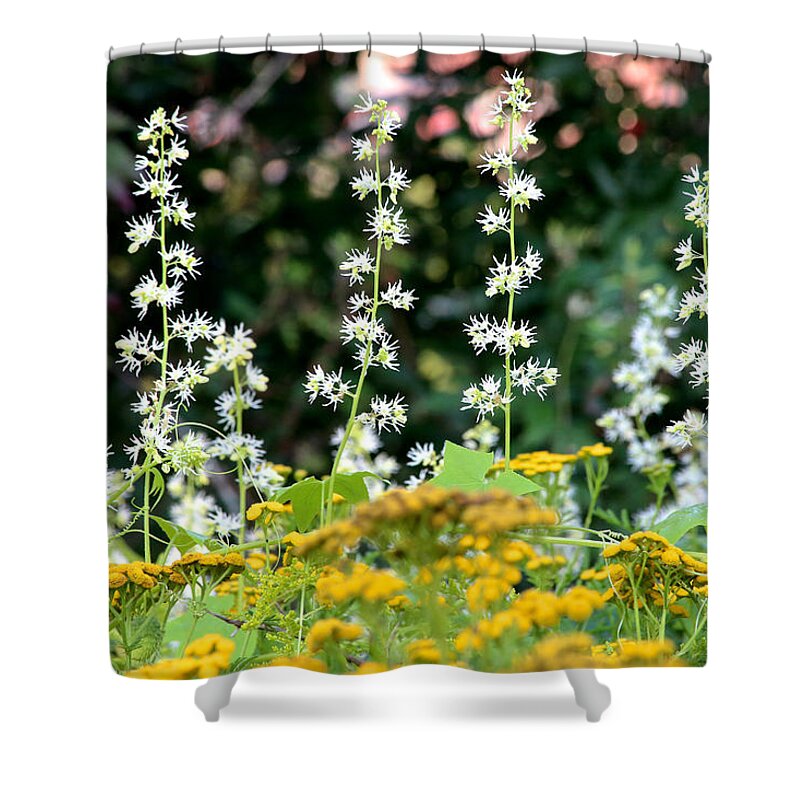 Flowers Shower Curtain featuring the photograph Flowers Sparkling Above the Tansies by John Meader