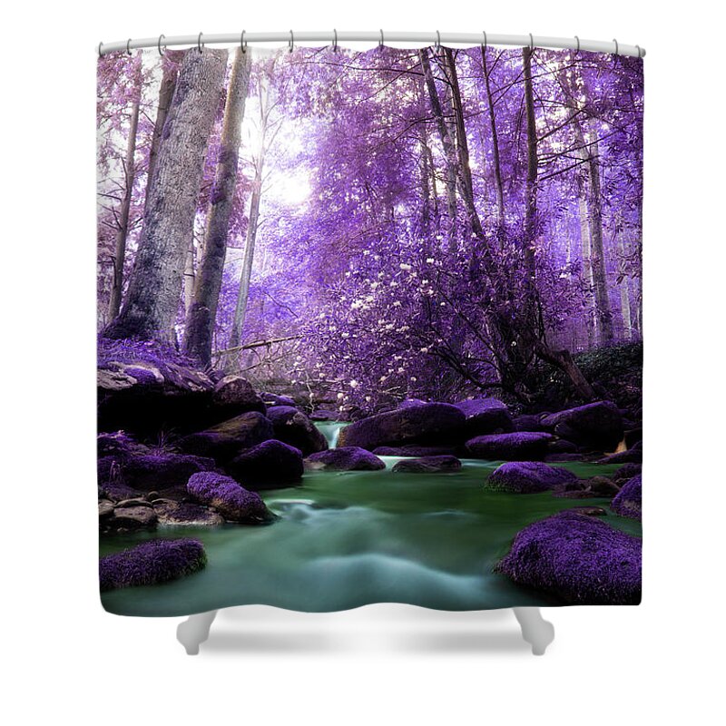 River Shower Curtain featuring the photograph Flowing Dreams by Mike Eingle