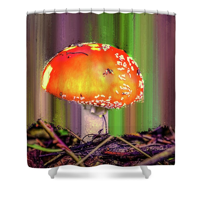 Fly Agaric Shower Curtain featuring the photograph Fly Agaric #g7 by Leif Sohlman