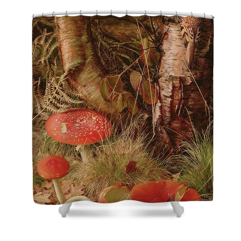 Fly Agarics Shower Curtain featuring the painting Fly Agarics by Raymond Booth