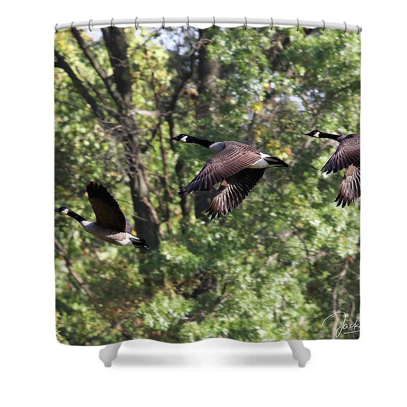 Geese Shower Curtain featuring the photograph Fly Away by Jackson Pearson