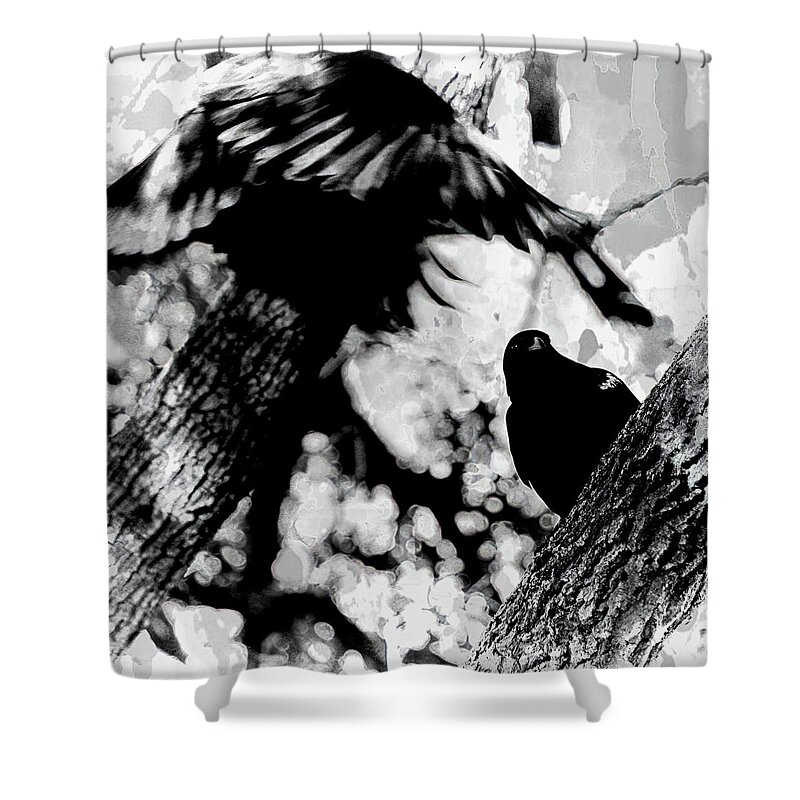  Shower Curtain featuring the photograph Fly by Stoney Lawrentz
