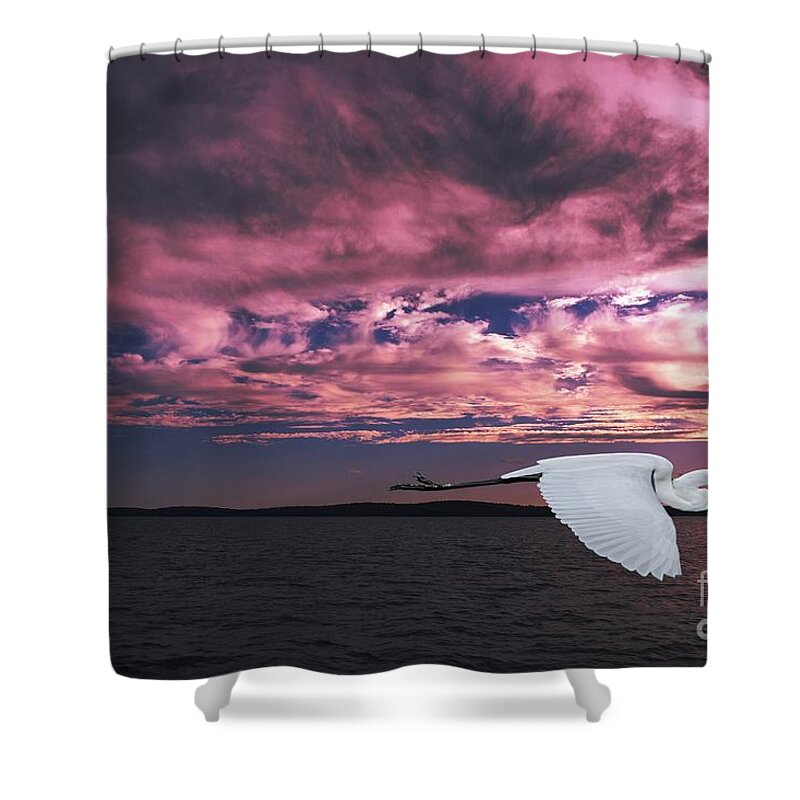 Egret Shower Curtain featuring the photograph Flying Egret in Sea Sunset Original Exclusive Photo Art. by Geoff Childs