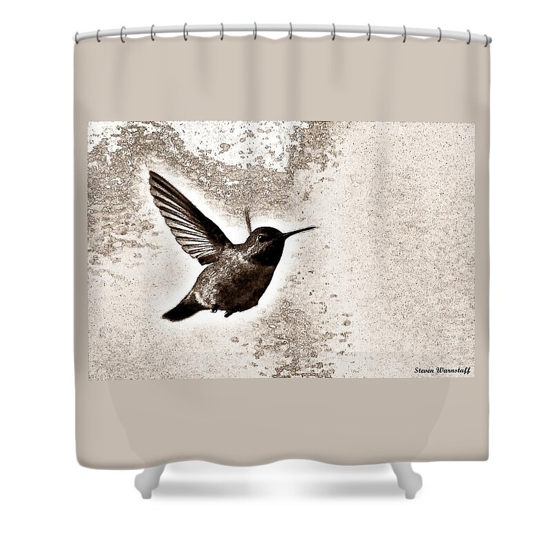 Nature Shower Curtain featuring the photograph Flying Into the Light by Steve Warnstaff