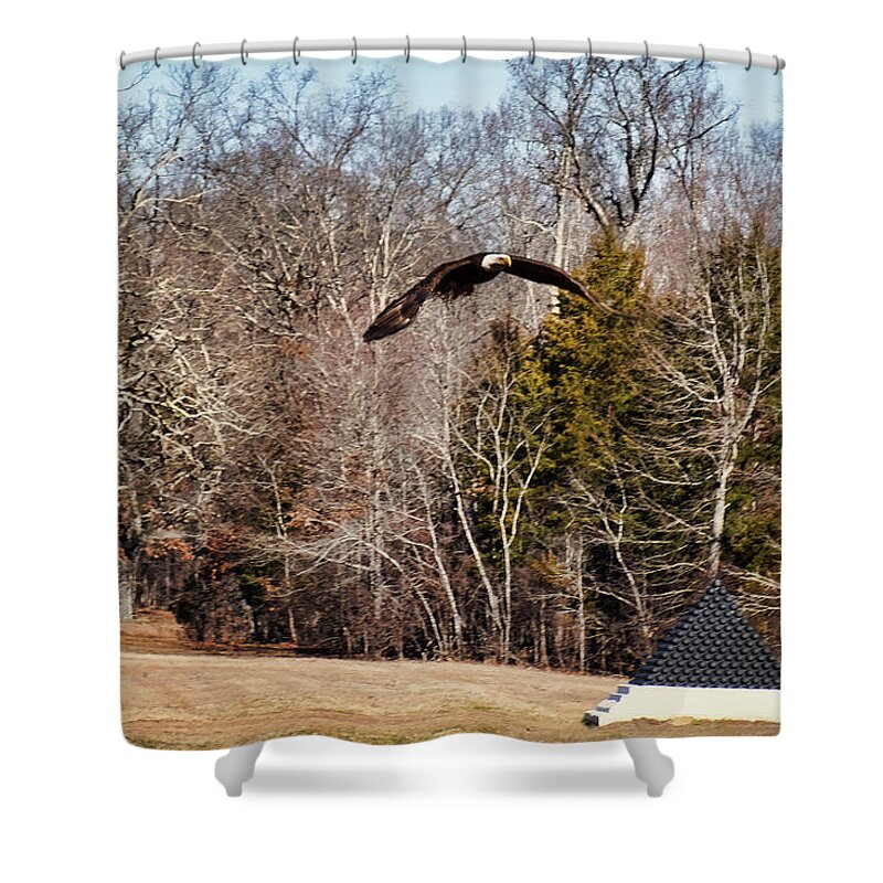 Eagle Shower Curtain featuring the photograph Flying Over Cloud Field by TnBackroadsPhotos
