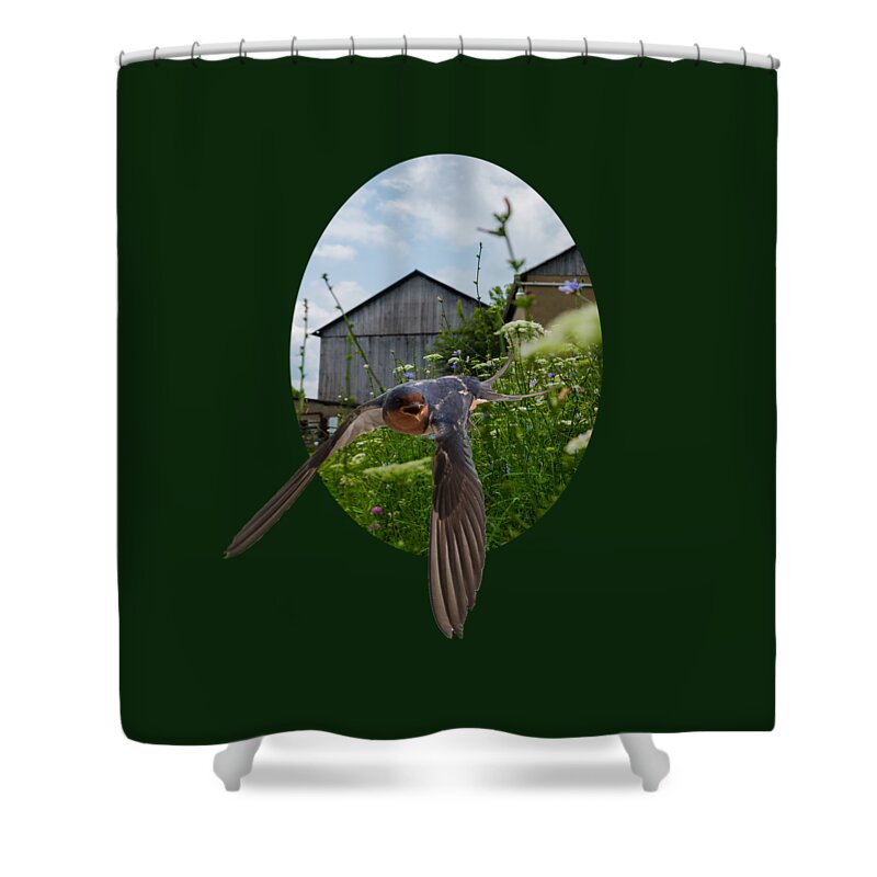 Barn Shower Curtain featuring the photograph Flying Through The Farm by Holden The Moment