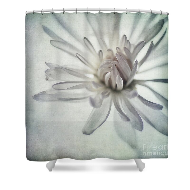 Soft Shower Curtain featuring the photograph Focus On The Heart by Priska Wettstein