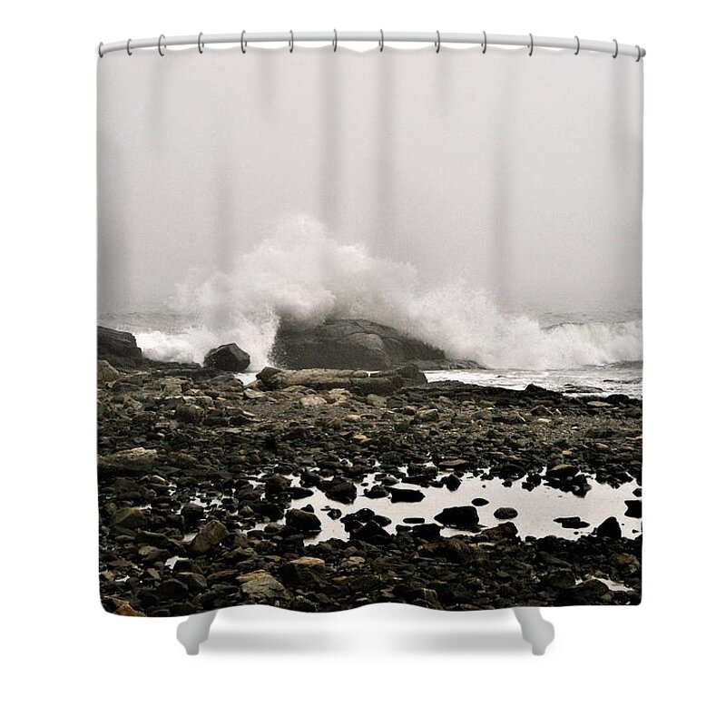 Ocean Shower Curtain featuring the photograph Foggy Day at the coast by Lois Lepisto