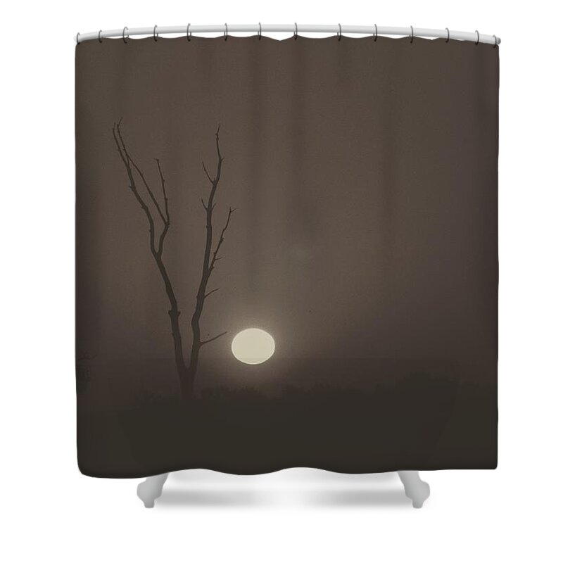 Sunrise Shower Curtain featuring the digital art Foggy July Sunrise by Rrrose Pix