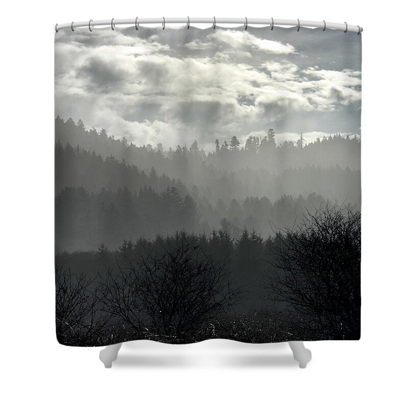 Landscape Shower Curtain featuring the photograph Foggy Layers by Betty Depee
