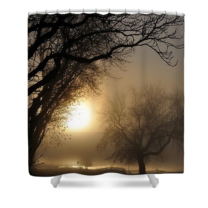 Foggy Shower Curtain featuring the photograph Foggy Morn by Tim Nyberg