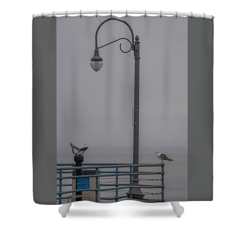 Seagull Shower Curtain featuring the photograph Foggy Morning by Ernest Echols