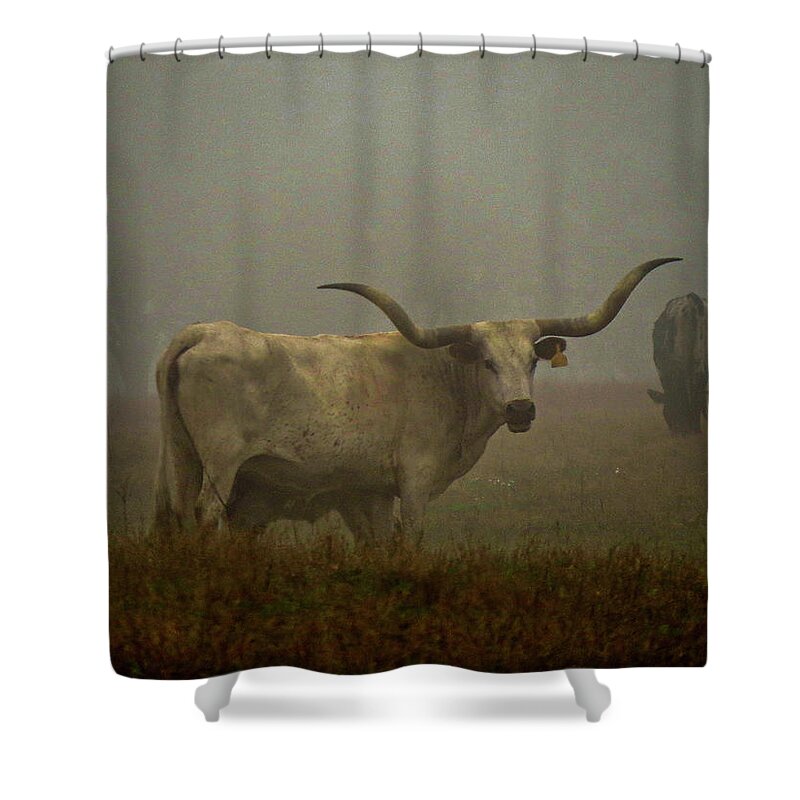 Fog Shower Curtain featuring the photograph Foggy Morning on the Ranch by Jerry Connally