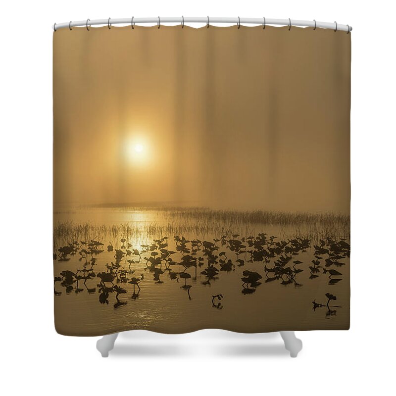 Kissimmee Lake Shower Curtain featuring the photograph Foggy Sunrise by Randall Evans