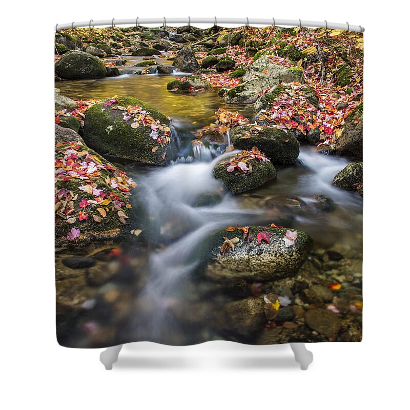 Foliage Shower Curtain featuring the photograph Foliage Brook by White Mountain Images